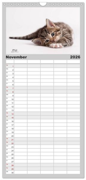 Produktbild: Familienplaner 2026 - Zauberhafte K&auml;tzchen mit 5 Spalten (Wandkalender, 21 x 45 cm) CALVENDO