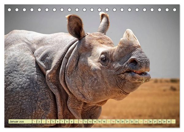 Produktbild: Bedrohte Tierart - Nashorn (Tischkalender 2026 DIN A5 quer), CALVENDO Monatskalender