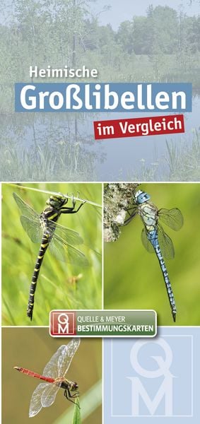 Produktbild: Heimische Gro&szlig;libellen im Vergleich