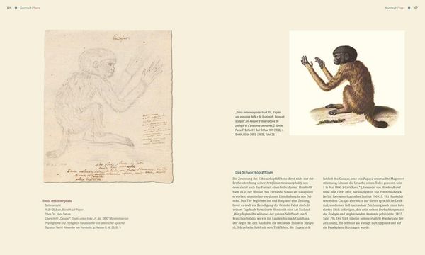 Produktbild: Das zeichnerische Werk