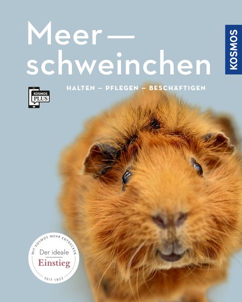 Produktbild: Meerschweinchen