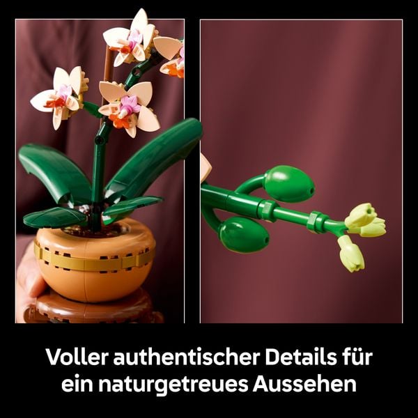 Produktbild: LEGO Botanicals 10343 Mini-Orchidee, Kunstblumen Set f&uuml;r Erwachsene