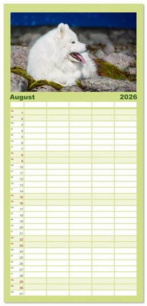 Produktbild: Familienplaner 2026 - Der Samojede - Sch&ouml;nheit des Nordens mit 5 Spalten (Wandkalender, 21 x 45 cm) CALVENDO