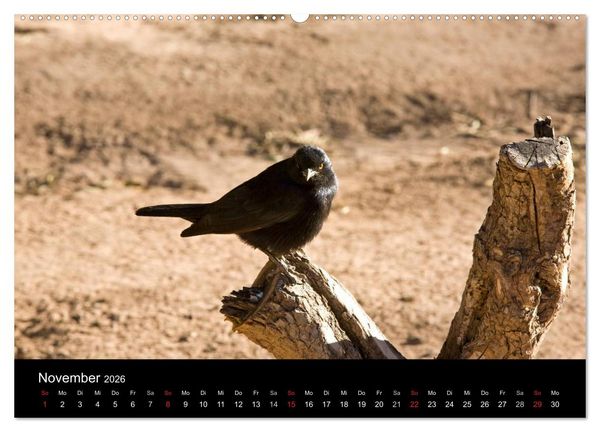Produktbild: Namibia - Sch&ouml;ne Ansichten (Wandkalender 2026 DIN A2 quer), CALVENDO Monatskalender