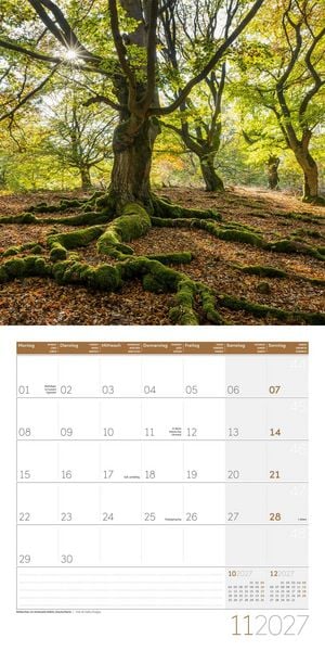 Produktbild: B&auml;ume Kalender 2027 - 30x30 - Art12