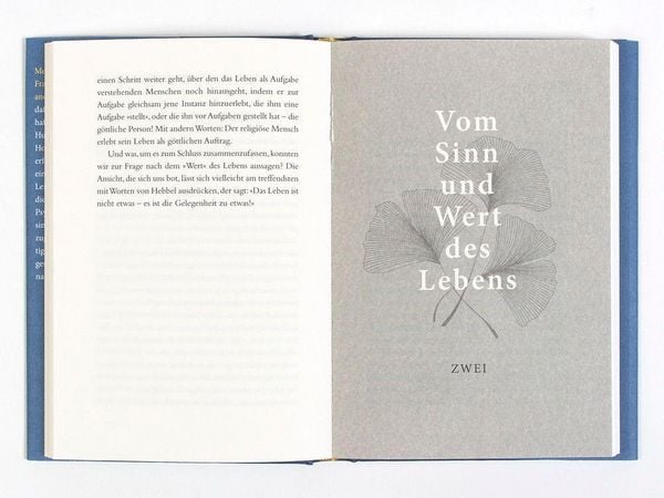 Produktbild: &Uuml;ber den Sinn des Lebens