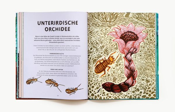 Produktbild: Oben, unten und lange her