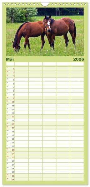 Produktbild: Familienplaner 2026 - Faszination Pferde mit 5 Spalten (Wandkalender, 21 x 45 cm) CALVENDO