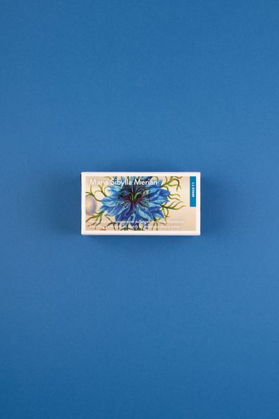 Produktbild: Maria Sibylla Merian. Memo