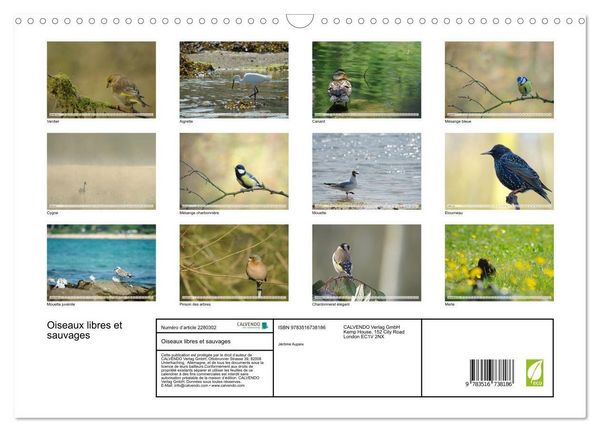 Produktbild: Oiseaux libres et sauvages (Calendrier mural 2026 DIN A3 vertical), CALVENDO calendrier mensuel