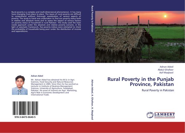 Produktbild: Rural Poverty in the Punjab Province, Pakistan