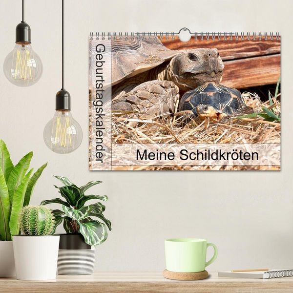 Produktbild: Meine Schildkr&ouml;ten - Geburtstagskalender (Wandkalender 2026 DIN A4 quer), CALVENDO Monatskalender