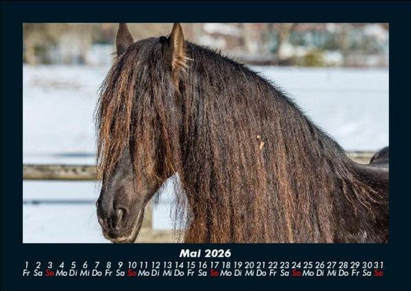 Produktbild: Pferdegefl&uuml;ster 2026 Fotokalender DIN A5