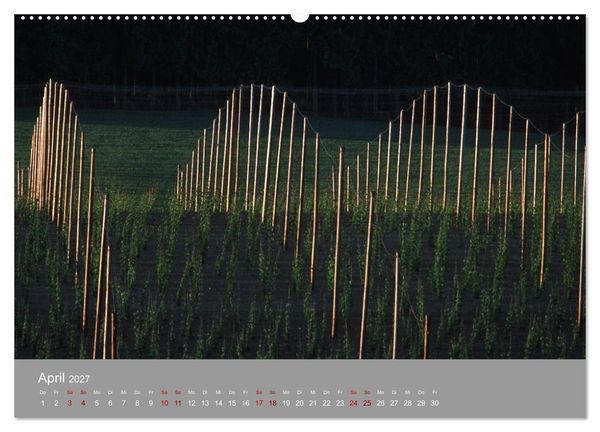 Produktbild: Hallertau (Wandkalender 2027 DIN A2 quer), CALVENDO Monatskalender