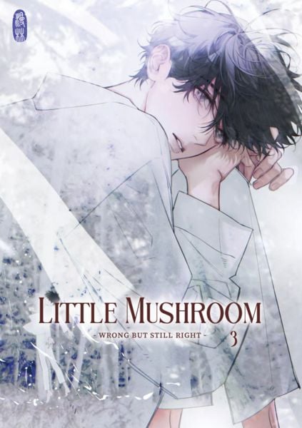 Produktbild: Little Mushroom - wrong but still right 3