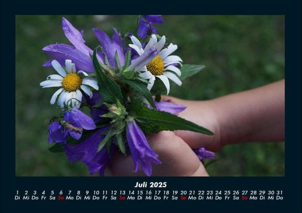 Produktbild: Blumentr&auml;ume 2025 Fotokalender DIN A4