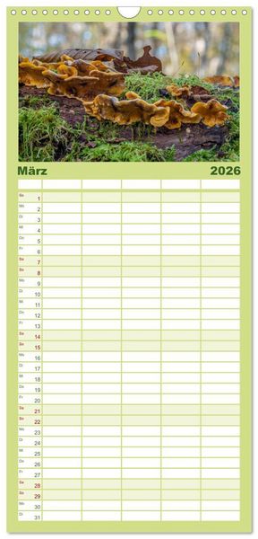 Produktbild: Familienplaner 2026 - Pilze in den Herbstw&auml;ldern mit 5 Spalten (Wandkalender, 21 x 45 cm) CALVENDO