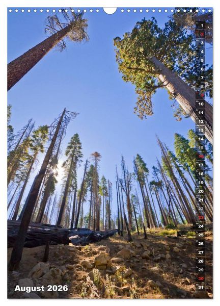 Produktbild: YOSEMITE VALLEY Natur Pur (Wandkalender 2026 DIN A3 hoch), CALVENDO Monatskalender