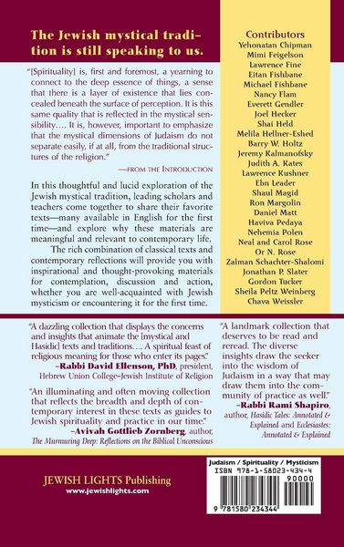 Produktbild: Jewish Mysticism and the Spiritual Life
