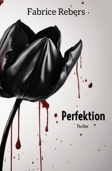 Produktbild: Perfektion