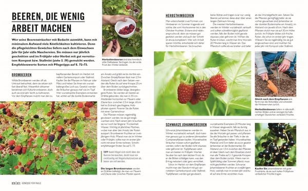 Grünes Gartenwissen. Gärtnern mit wenig Aufwand