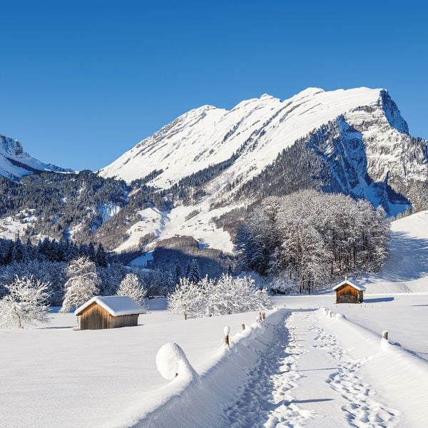 Produktbild: Alpen / Alps 2027