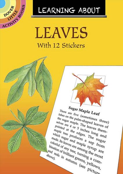 Produktbild: Barlowe, D: Learning About Leaves