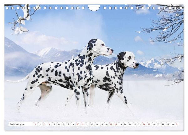 Produktbild: Ohne Hund ist alles nichts - Mit unseren besten Freunden durch das Jahr (Wandkalender 2026 DIN A4 quer), CALVENDO Monatskalender