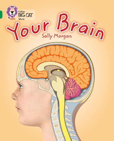 Produktbild: Your Brain