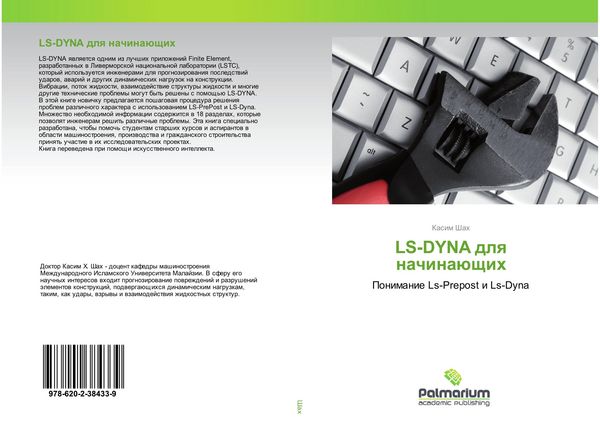 Produktbild: LS-DYNA dlq nachina&uuml;schih