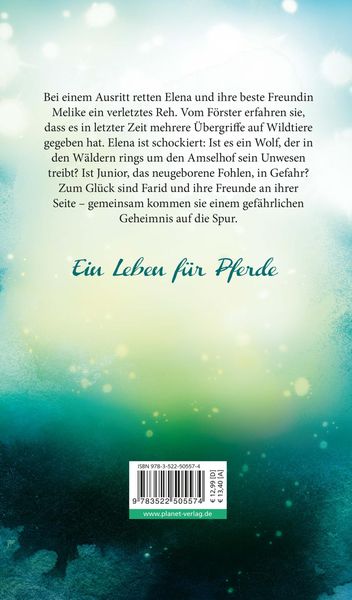 Produktbild: Elena &ndash; Ein Leben f&uuml;r Pferde 6: Eine falsche F&auml;hrte