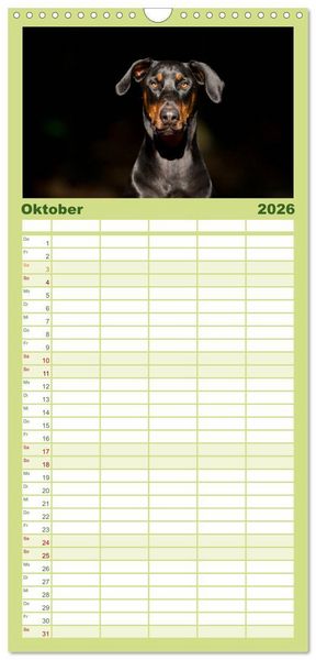 Produktbild: Familienplaner 2026 - Dobermann mit 5 Spalten (Wandkalender, 21 x 45 cm) CALVENDO