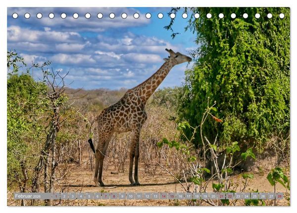 Produktbild: Namibia - Von Nord nach S&uuml;d (Tischkalender 2026 DIN A5 quer), CALVENDO Monatskalender