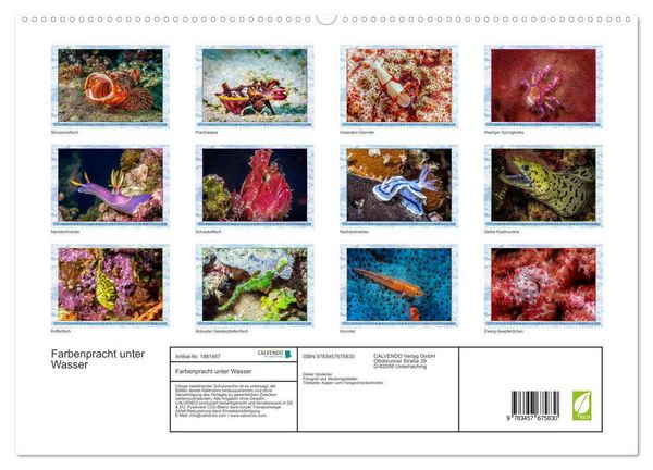 Produktbild: Farbenpracht unter Wasser (hochwertiger Premium Wandkalender 2026 DIN A2 quer), Kunstdruck in Hochglanz