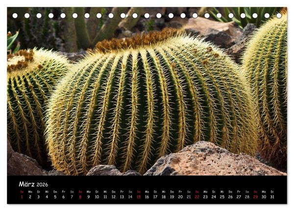Produktbild: Lanzarote (Tischkalender 2026 DIN A5 quer), CALVENDO Monatskalender