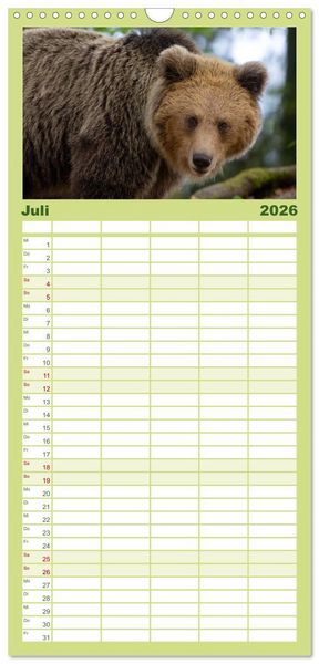 Produktbild: Familienplaner 2026 - Lautlos in den W&auml;ldern Sloweniens mit 5 Spalten (Wandkalender, 21 x 45 cm) CALVENDO