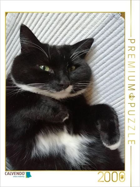 CALVENDO Puzzle Kater, dick und zufrieden | 2000 Teile Lege-Größe 90x67cm Foto-Puzzle für glückliche Stunden