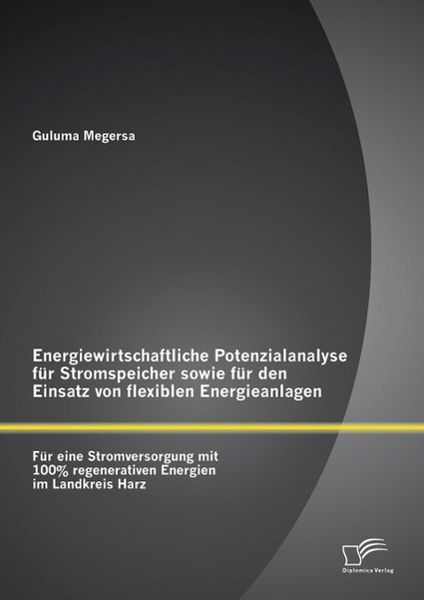 Produktbild: Energiewirtschaftliche Potenzialanalyse f&uuml;r Stromspeicher sowie f&uuml;r den Einsatz von flexiblen Energieanlagen: F&uuml;r eine Stromversorgung mit 100% regene