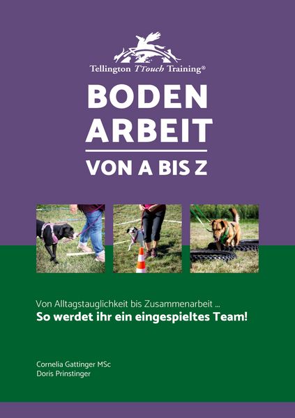 Produktbild: Bodenarbeit von A bis Z