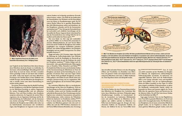 Produktbild: Bienenbau und Bienenbeute