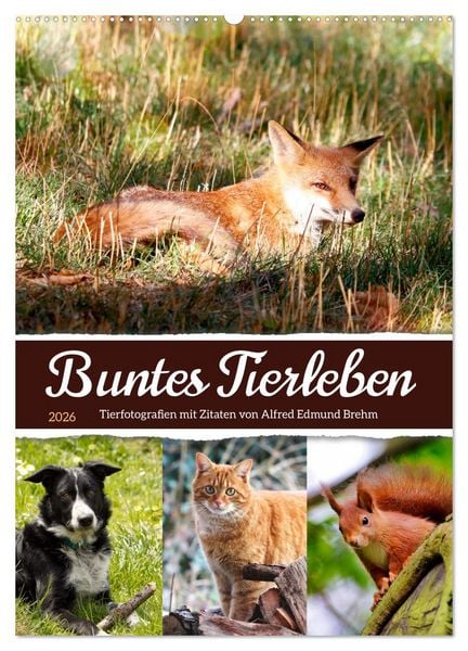 Produktbild: Buntes Tierleben (Wandkalender 2026 DIN A2 hoch), CALVENDO Monatskalender