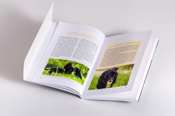 Produktbild: Nähe und Distanz in der Hundeerziehung
