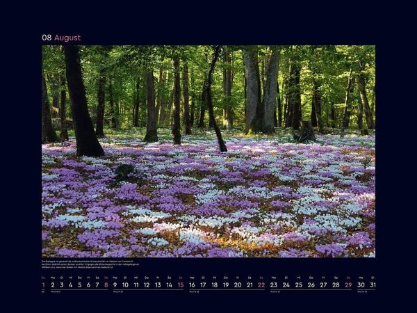 Produktbild: Aufgebl&uuml;ht - KUNTH Wandkalender 2027