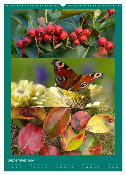 Produktbild: Mein Gartenjahr - Mit der Kamera unterwegs in G&auml;rten und Parkanlagen (Wandkalender 2026 DIN A2 hoch), CALVENDO Monatskalender
