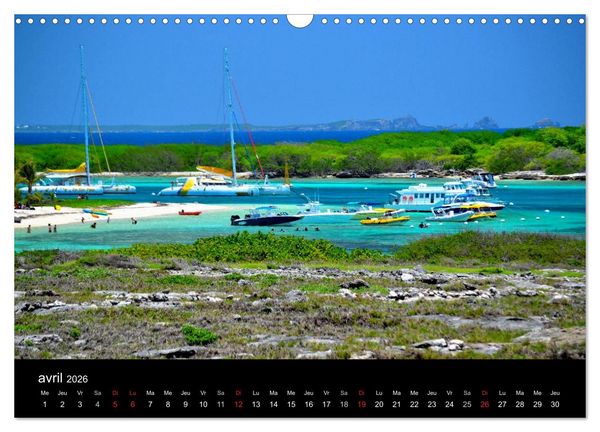 Produktbild: Paysages de Guadeloupe (Calendrier mural 2026 DIN A3 vertical), CALVENDO calendrier mensuel