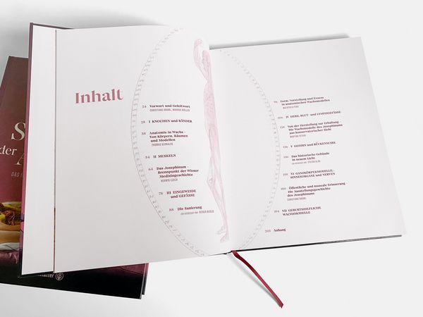 Produktbild: Die Sch&ouml;nheit der Anatomie