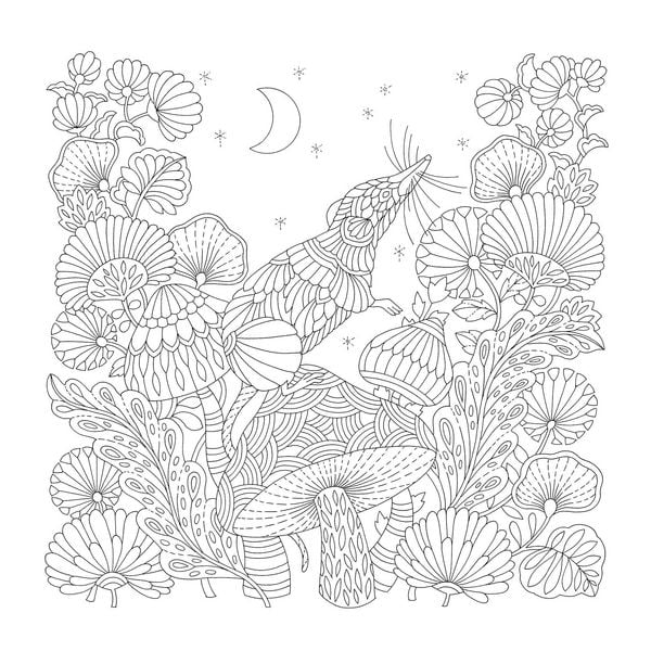 Produktbild: Millie Marotta's Tiny Animal Kingdom