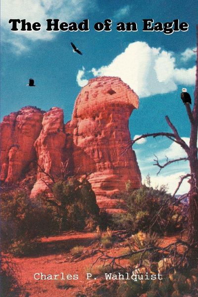 Produktbild: The Head of an Eagle
