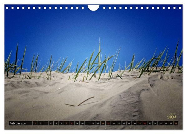 Produktbild: Nordsee-D&uuml;nen (Wandkalender 2026 DIN A4 quer), CALVENDO Monatskalender