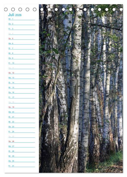 Produktbild: Wunderbarer Spreewald (Tischkalender 2026 DIN A5 hoch), CALVENDO Monatskalender